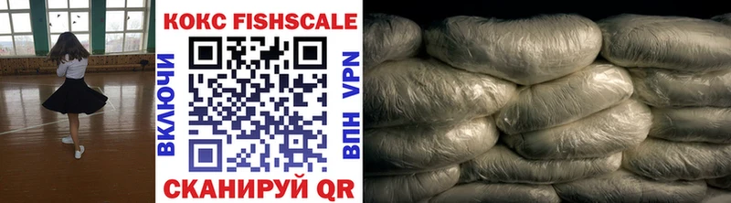 Купить где Судогда COCAIN Columbia