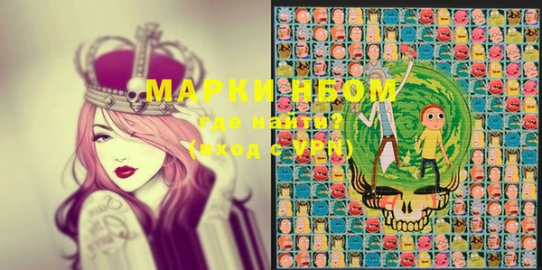 индика Кукмор