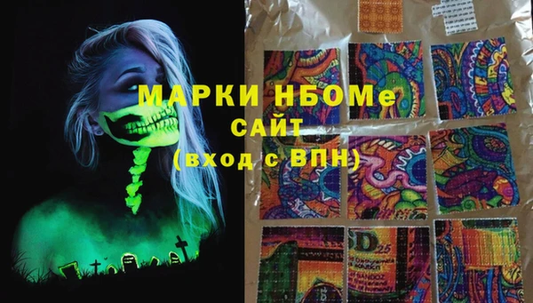 индика Кукмор