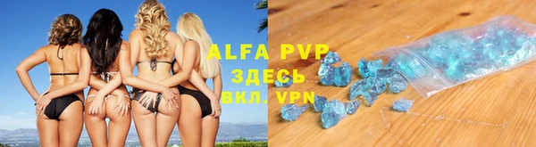 крисы Кулебаки