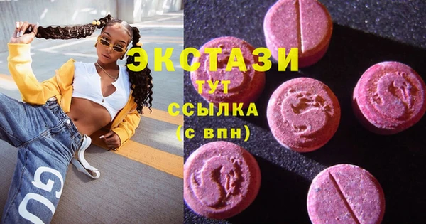 крисы Кулебаки