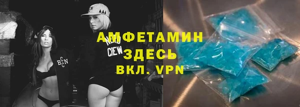 индика Кукмор