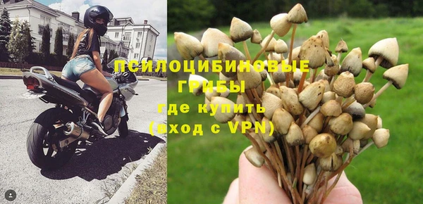 гидропоника Куйбышев