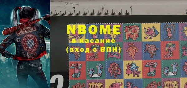крисы Кулебаки