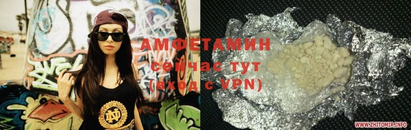 крисы Кулебаки