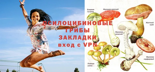 крисы Кулебаки