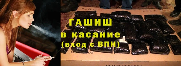 индика Кукмор
