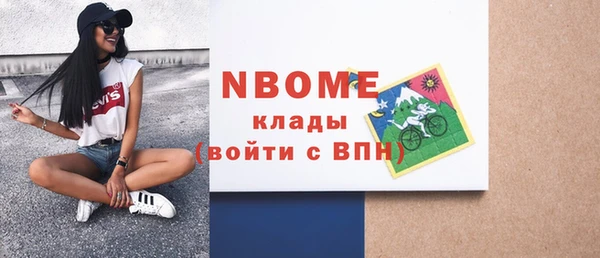 крисы Кулебаки