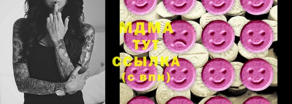 крисы Кулебаки