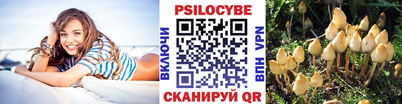 Купить  Судогда  Псилоцибиновые грибы Psilocybe 